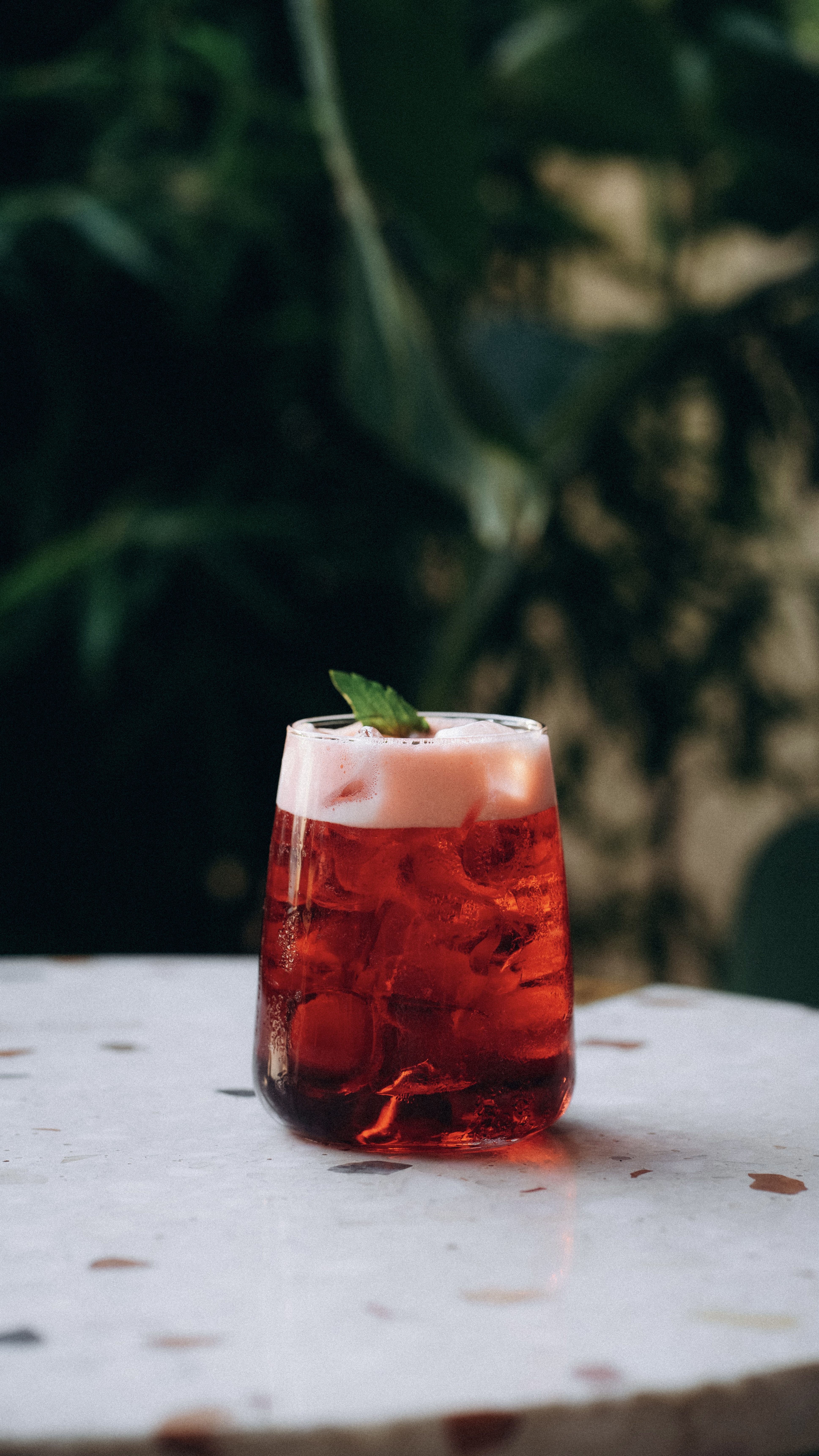 Hibiscus Mint Tea