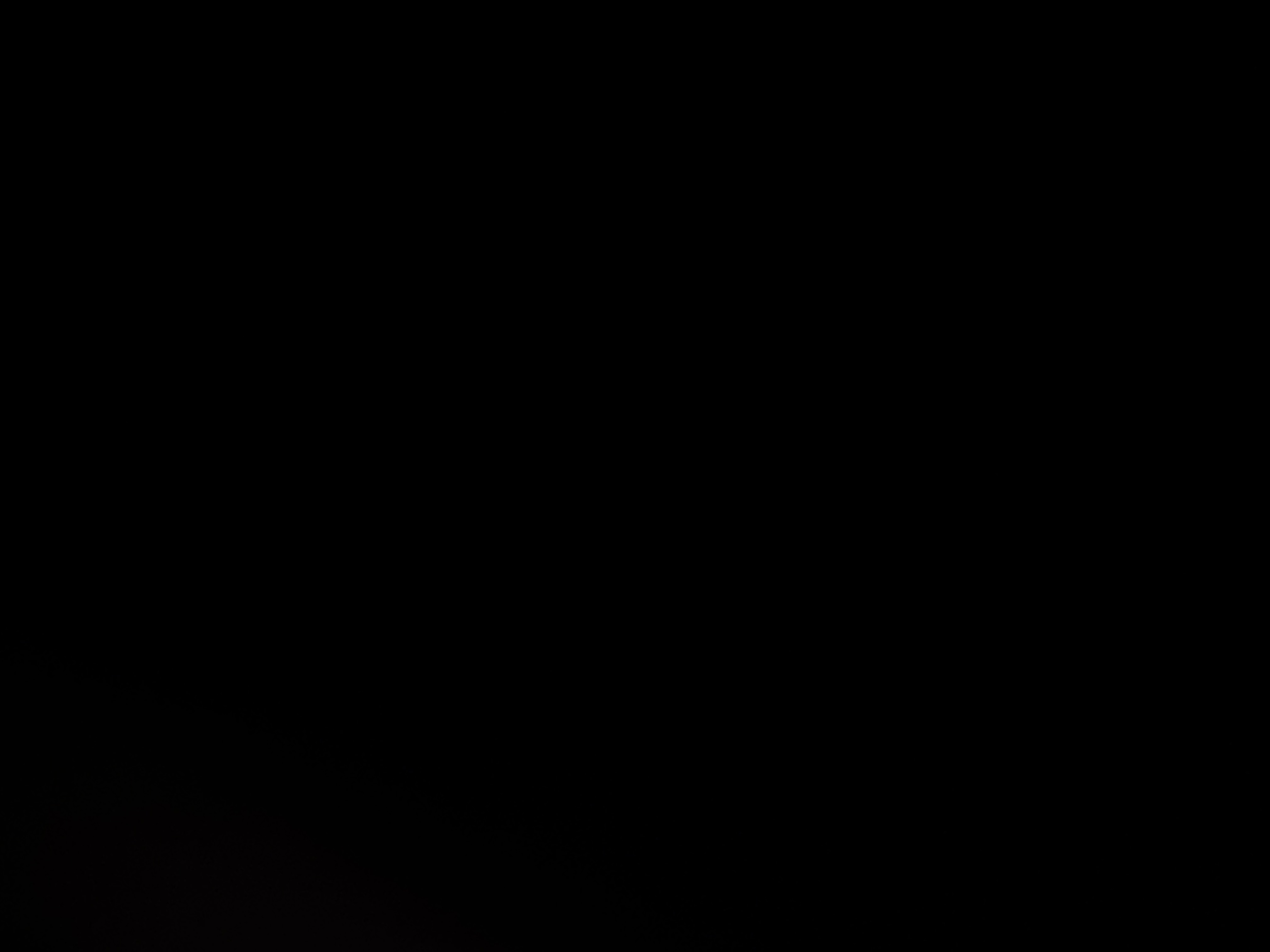 Dubai Cheesecake Cafe